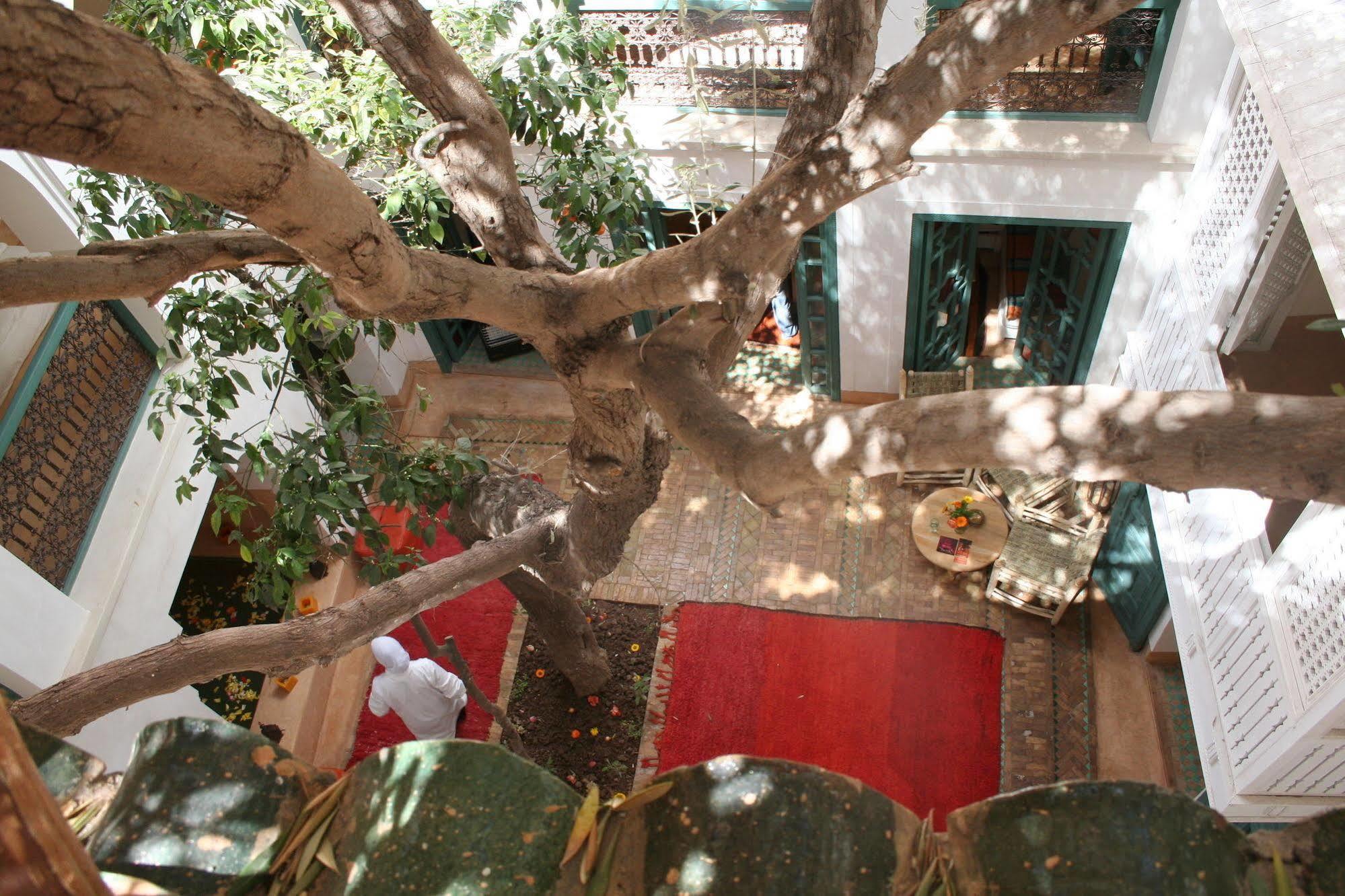 Riad Dar Zitouna En Exclusivite Marrakesh Exterior foto